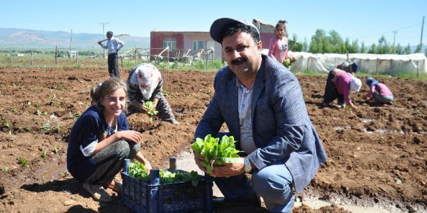 Solgun: “Muş Ovası’nın Kurutuluşu İçin Mücadele Ediyoruz”