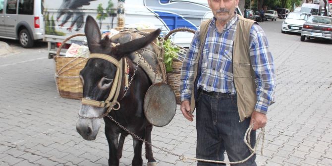 Raşit Dede, Akıllı Eşeği Sayesinde Daha Sağlıklı Olduğunu Belirtti