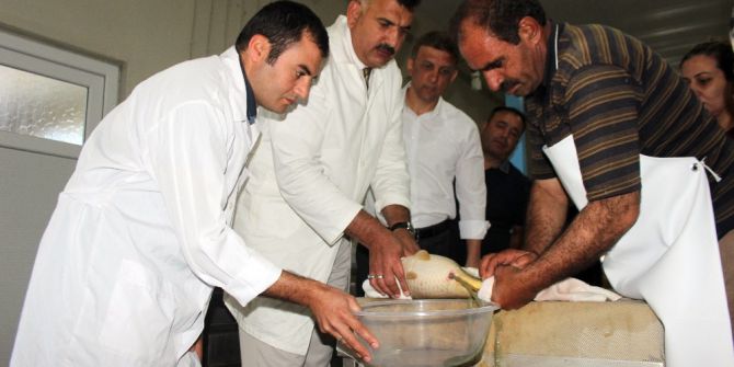 Balık Sağımı Başladı, Hedef 5 Milyon Balık