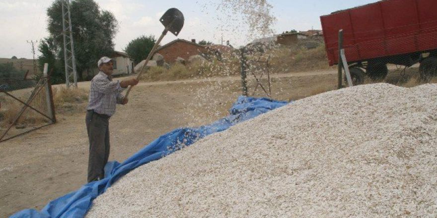 Yozgat Gıda Tarım Ve Hayvancılık İl Müdürlüğünden Çiftçiye Destekleme Uyarısı