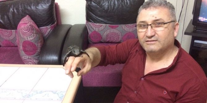 Hisarcık’ta Ebabil Kuşu