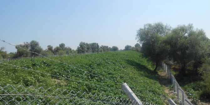 Çöplükler Yeşil Alan Oluyor