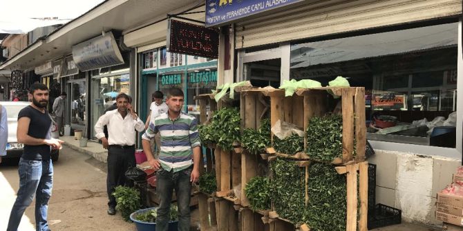 Balıkçılık Bitti, Fide Satışı Başladı