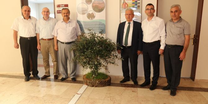Başkan Uysal Turizm Fakültesine Zeytin Ağacı Hediye Etti