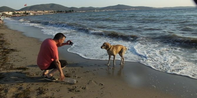 Plajdaki Köpek Tatilcilerin Maskotu Oldu