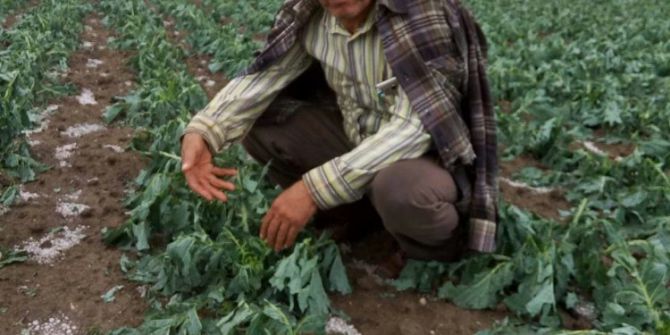 20 Dakikalık Dolu Tarım Alanlarını Vurdu