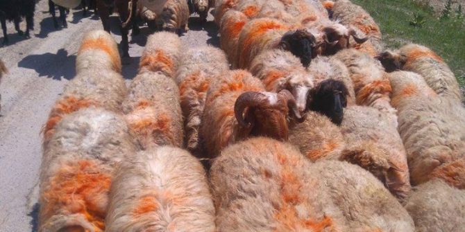 Göçerlerin 6 Aylık Hasreti Bitti