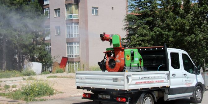 Çankaya’da Haşereyle Mücadelede Yoğun Mesai Başladı