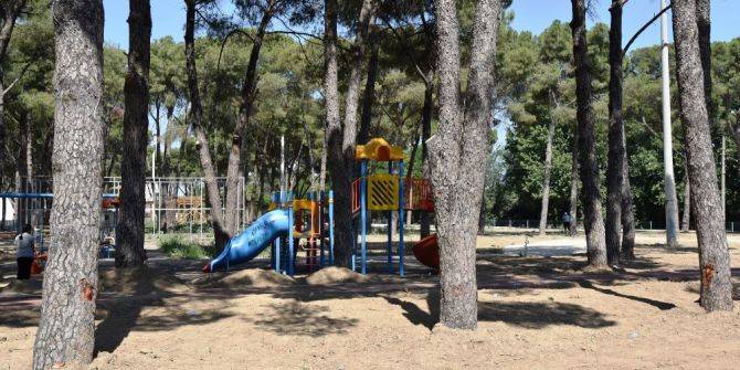 Horozköy Çamlık Projesinde Sona Yaklaşılıyor