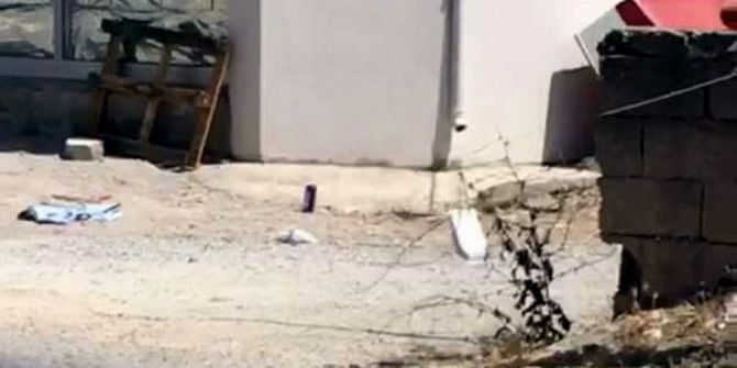 Yılanların Çiftleşme Dansı Büyüledi