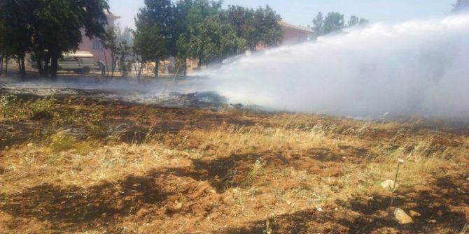 Mardin’de Ağaçlık Alanda Yangın