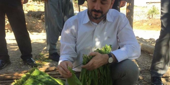 Tbmm Başkanvekili Aydın: “Tütün, Adıyaman’ın Göz Nuru, Alın Teri, Ekmek Teknesidir”