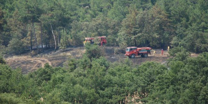 Çanakkale’de Arazi Yangını
