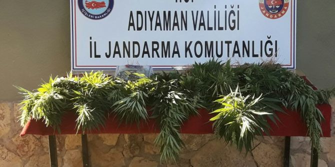 Jandarma Uyuşturucu Operasyonu Gerçekleştirdi