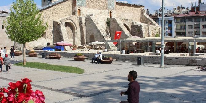 270 Bin Gül Dikildi