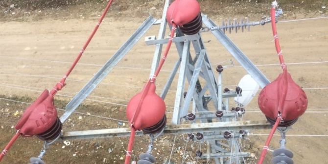 Enerji Nakil Hatları Göçmen Kuşlar İçin Güvenli Hale Getirildi