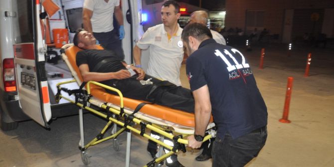 Arılar Hastanelik Etti