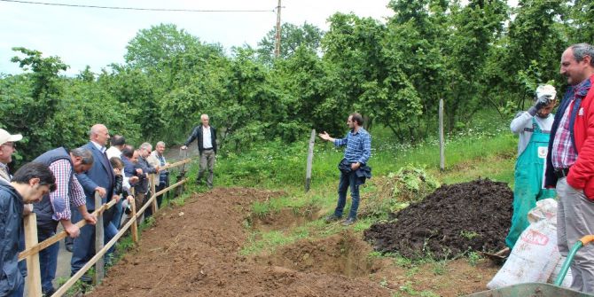 Fındık Üreticisi Bilinçleniyor