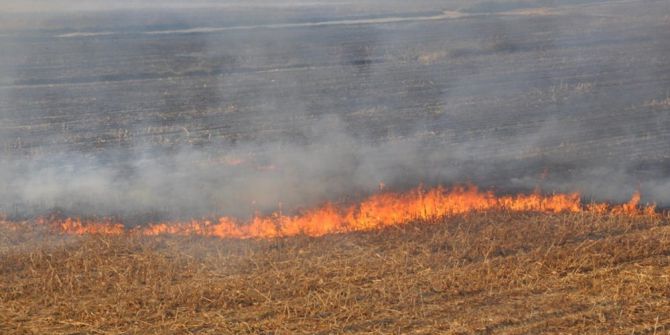 Anız Yakanlara 212 Tl Para Cezası Kesilecek