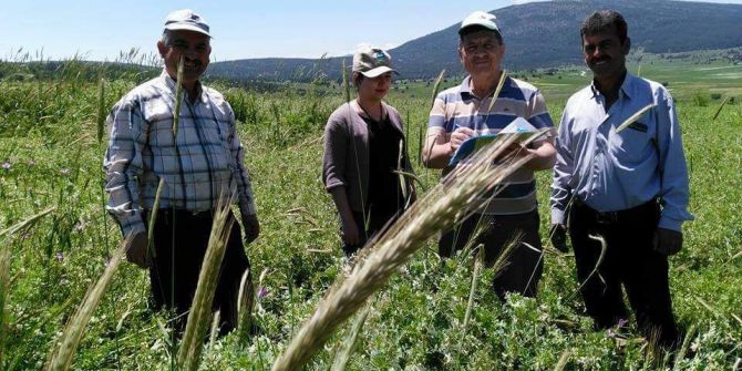 Altıntaş’ta Yem Bitkileri Kontrol Ediliyor