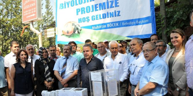 Antalya Zararlı Böceklerle Mücadele Ediyor