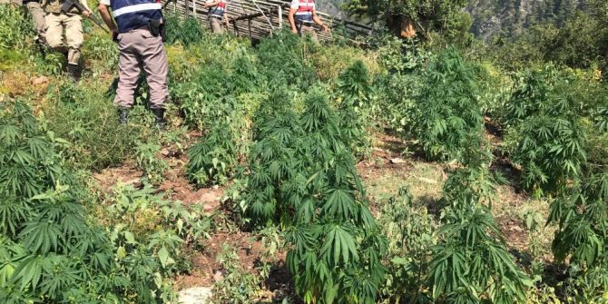 Mersin’de Uyuşturucu Operasyonu: 5 Gözaltı