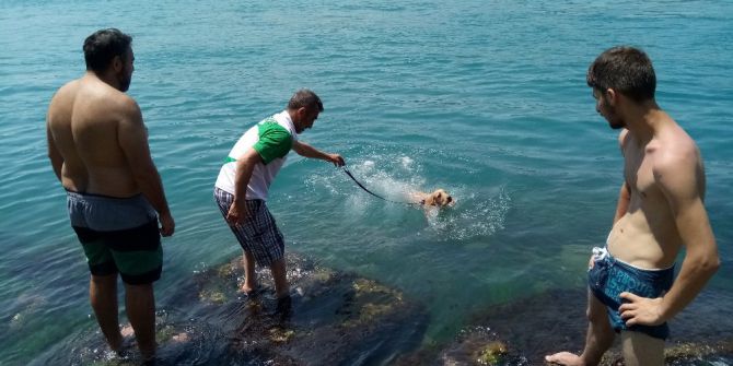Sıcaktan Bunalan Vatandaş, Yüzerken Özçekim Yaptı
