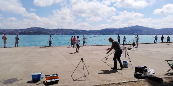 Boğaz’da İstavrit Bolluğu