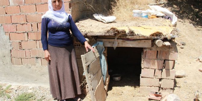 Öldürülen Yılanın Karnından Tavuk Çıktı