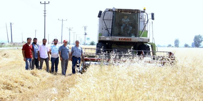 Yenişehirli Çiftiler Tmo’nun Alım Yapmasını İstiyor