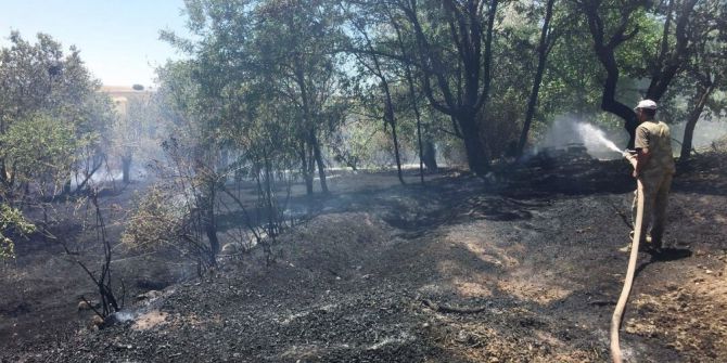 Tunceli’de Ekili Tarım Arazisi Ve Bahçelerde Yangın