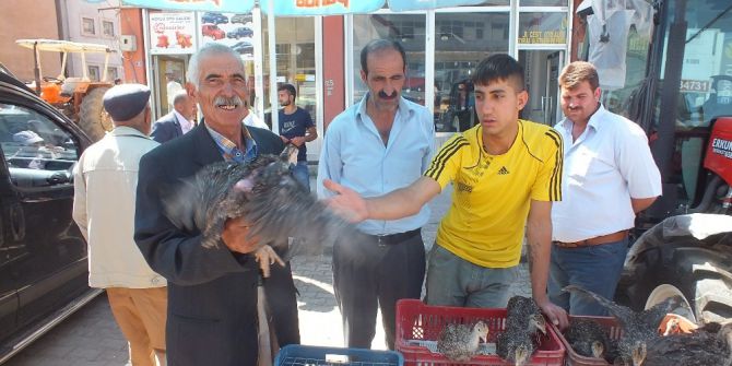 Malazgirt’te Hindi Satışları Başladı