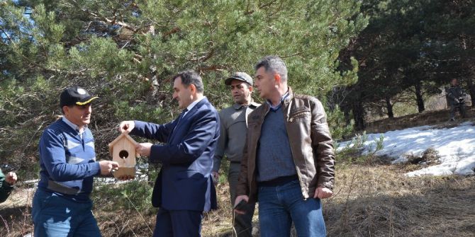 Ormanları Böceklerden Korumak İçin Kuşlara Yuva Yaptılar