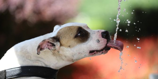 Bursa’da Nem Ve Sıcaklık Bunalttı, Vatandaşlar Serinlemenin Yolunu Parklarda Aradı