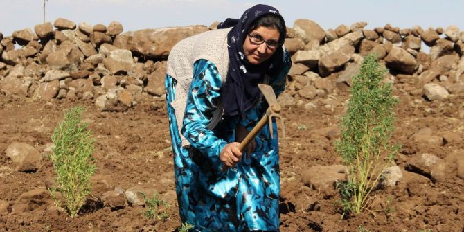 Rüyasında Gördü, Üvey Oğluna Böbreğini Verdi