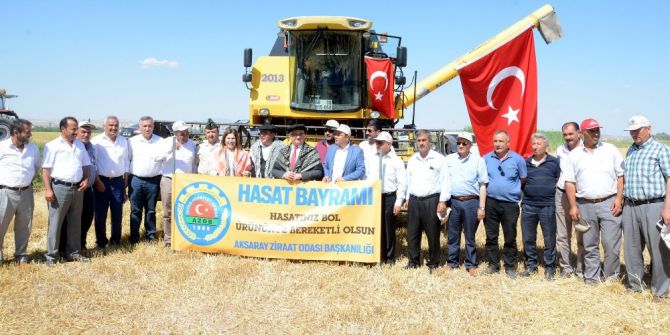 Hasat Bayramı İle Çiftçiler Tarlaya İndi