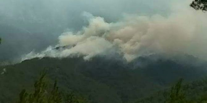 Alanya’da Orman Yangını