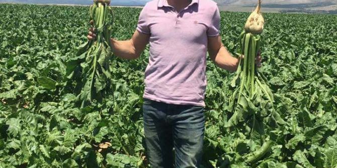 Pancar Üreticisi Bu Yıl ’Rekor’ Bekliyor
