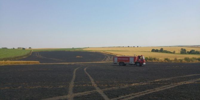 İtfaiyenin Erken Müdahalesi Buğday Tarlasını Kül Olmaktan Kurtardı