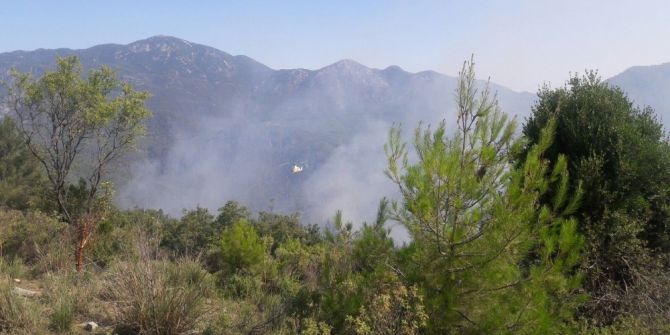 Antalya Gündoğmuş’ta Orman Yangını