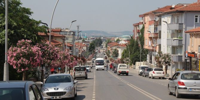 Şehir Çiçek Açtı
