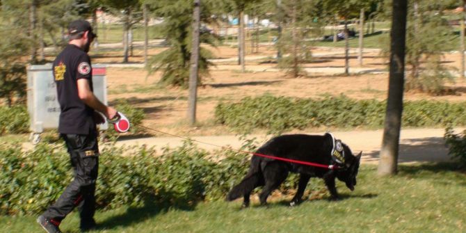 Pendik’te Hava Destekli Uyuşturucu Operasyonu