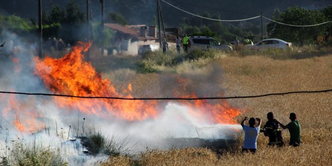 Muğla’da Anız Yangını Korkuttu