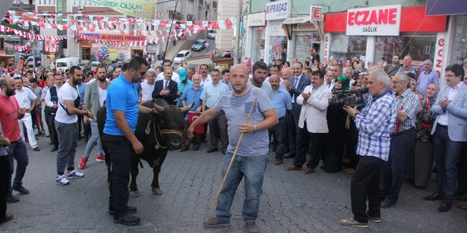 Kafkasör Festivali Boğalar Eşliğinde Yürüyüş İle Başladı