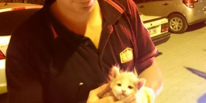 Boruya Sıkışan Kediyi İtfaiye Kurtardı