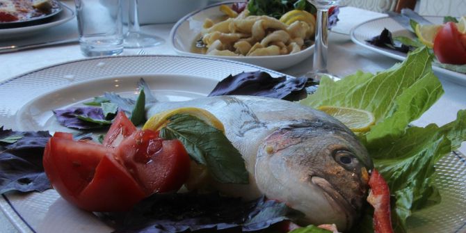 Haftada İki Gün Balık Yaşam Boyu Sağlık