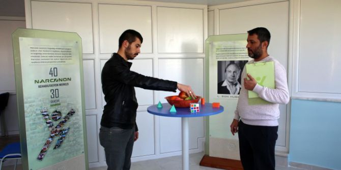 Bonzai Tehlikesi Artıyor