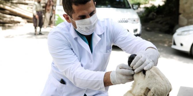 Mamak Belediyesi Kuduz Hastalığına Karşı Harekete Geçti