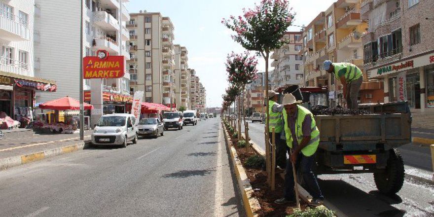 Bağlar Belediyesi’nin Yeşillendirme Çalışmaları Devam Ediyor