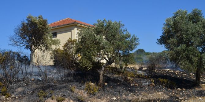 Didim’de Makilik Yangını Korkuttu